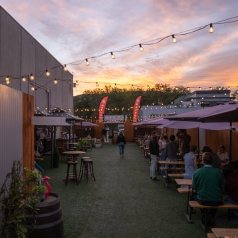 Cannery Brewing - Backyard