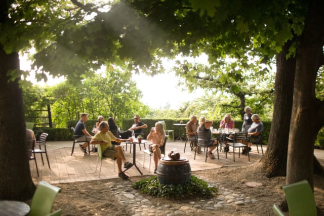 Elephant Island Winery
