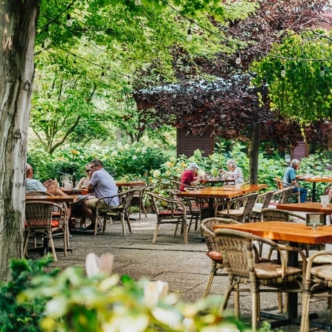Frog City Cafe - Linden Gardens