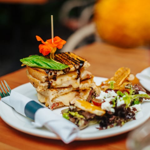Frog City Cafe - Linden Gardens
