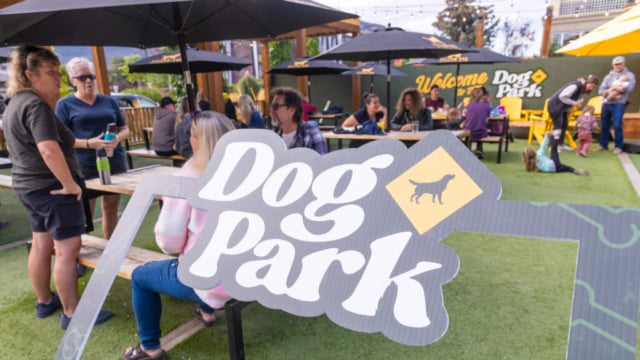 Yellow Dog Brewing