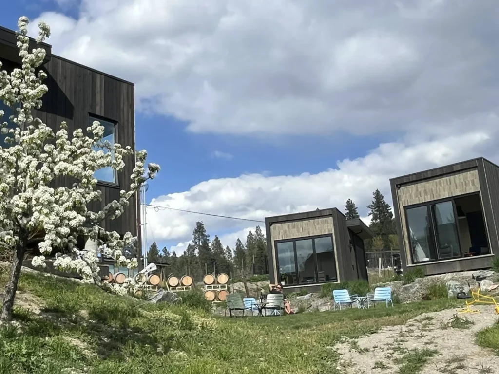 Modesta Winery