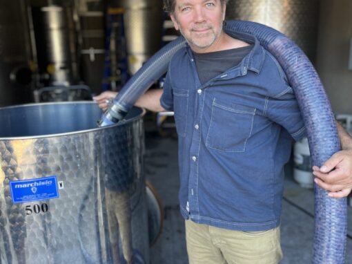 Modesta Winery