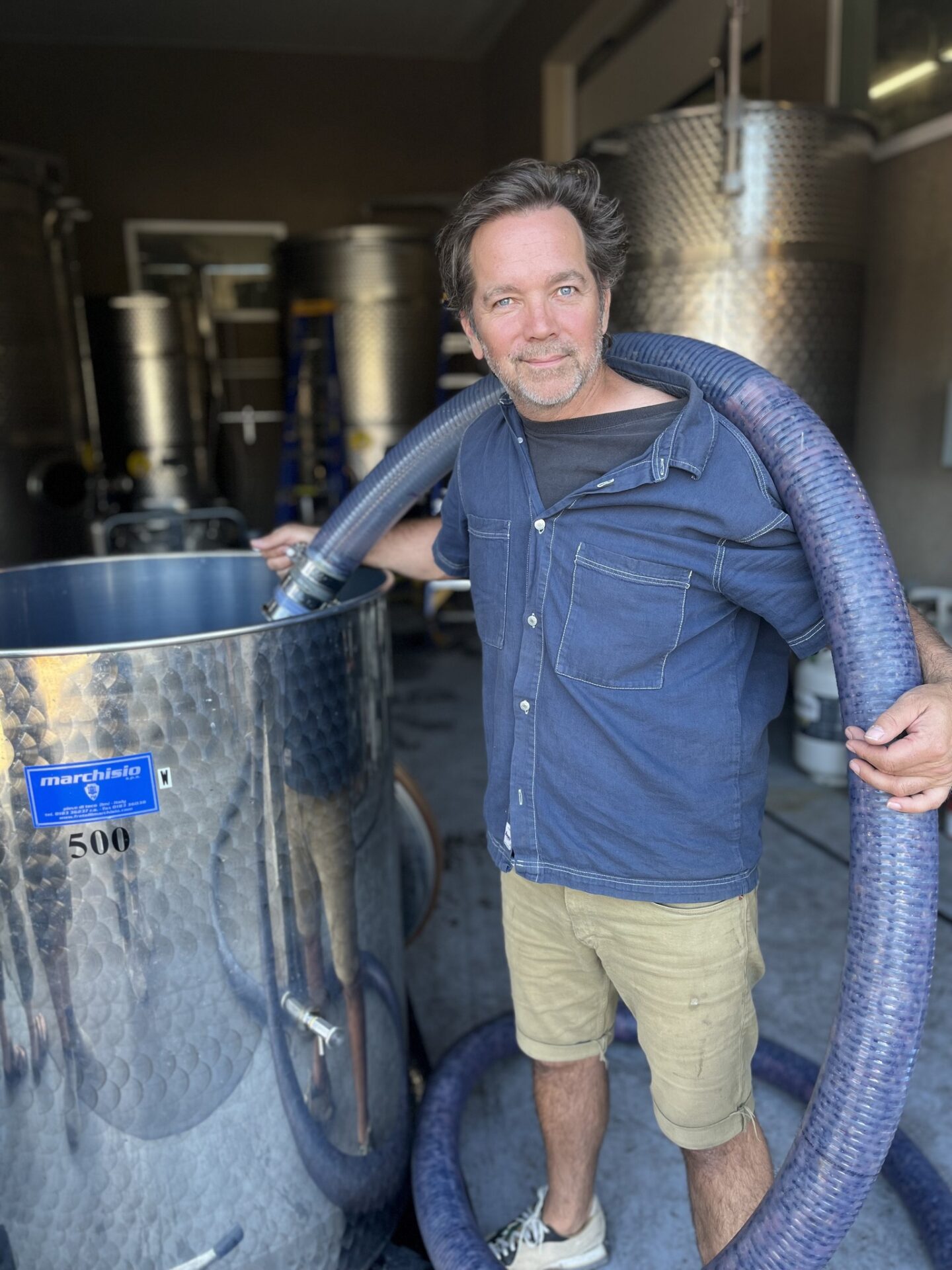 Modesta Winery