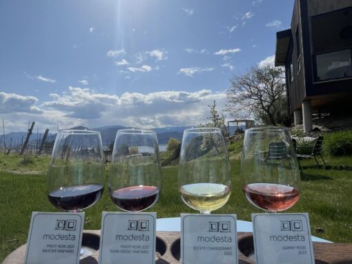 Modesta Winery