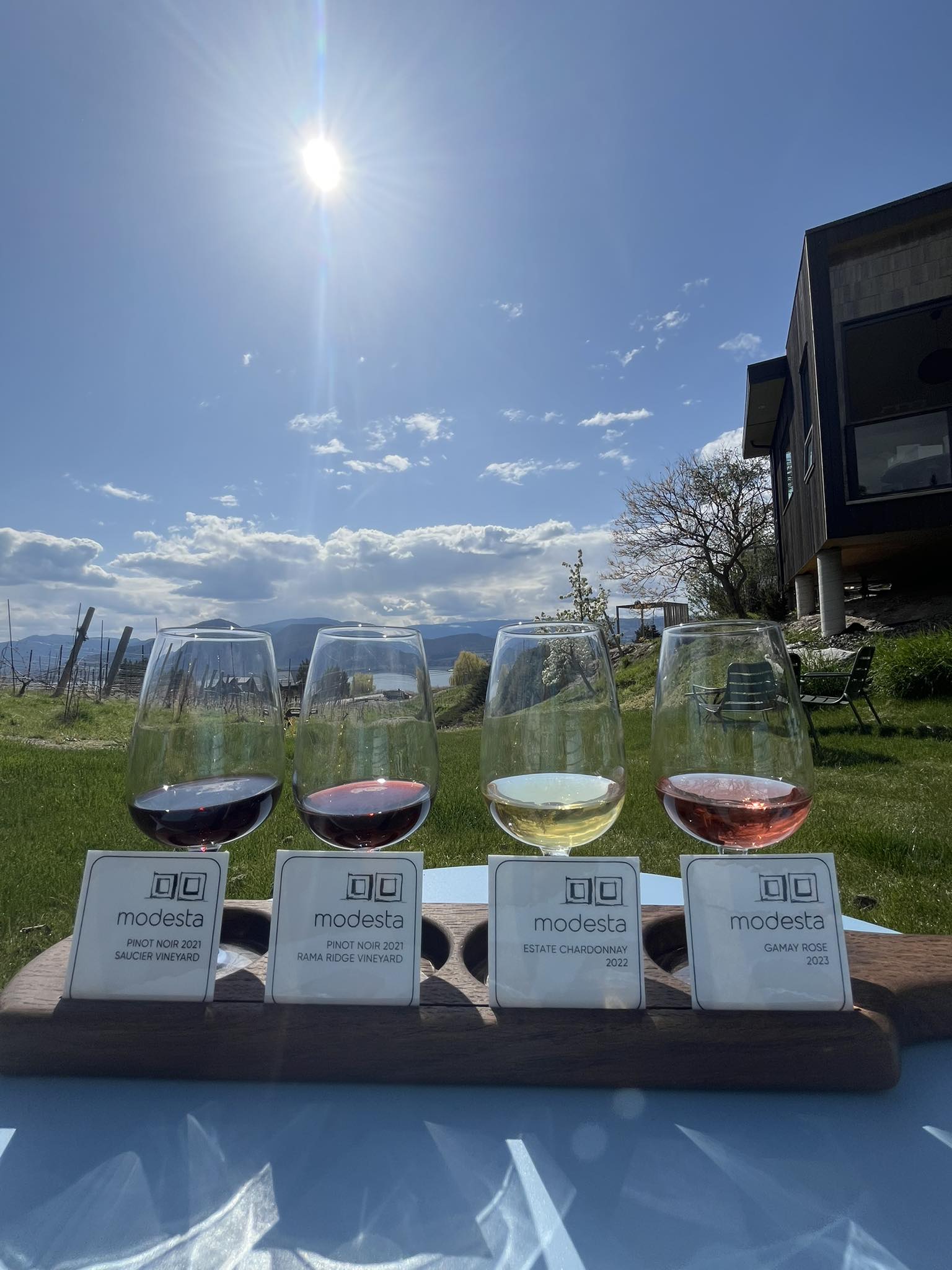 Modesta Winery