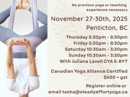 Aerial Yoga Training in Penticton at Steady Effort Yoga Wellness Sound.