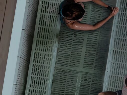 Shelter Floating Sauna