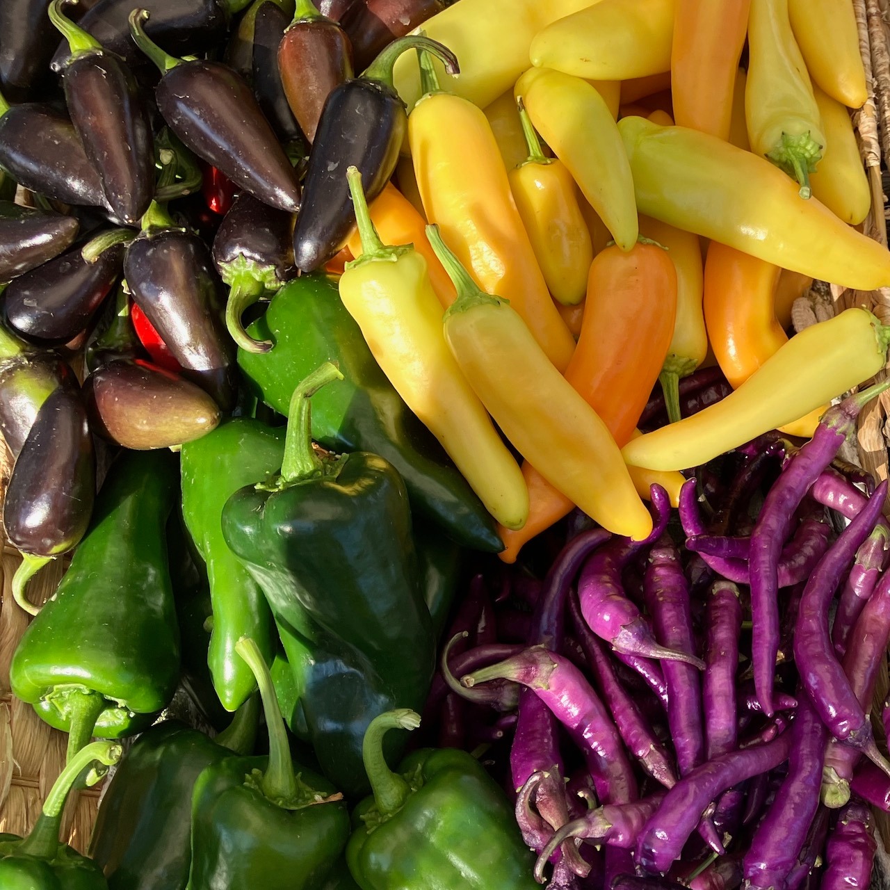 Fresh Veggies at the market