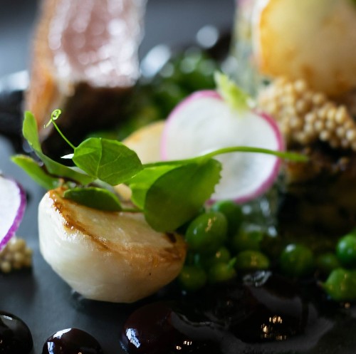 Sonora Room Retaurant