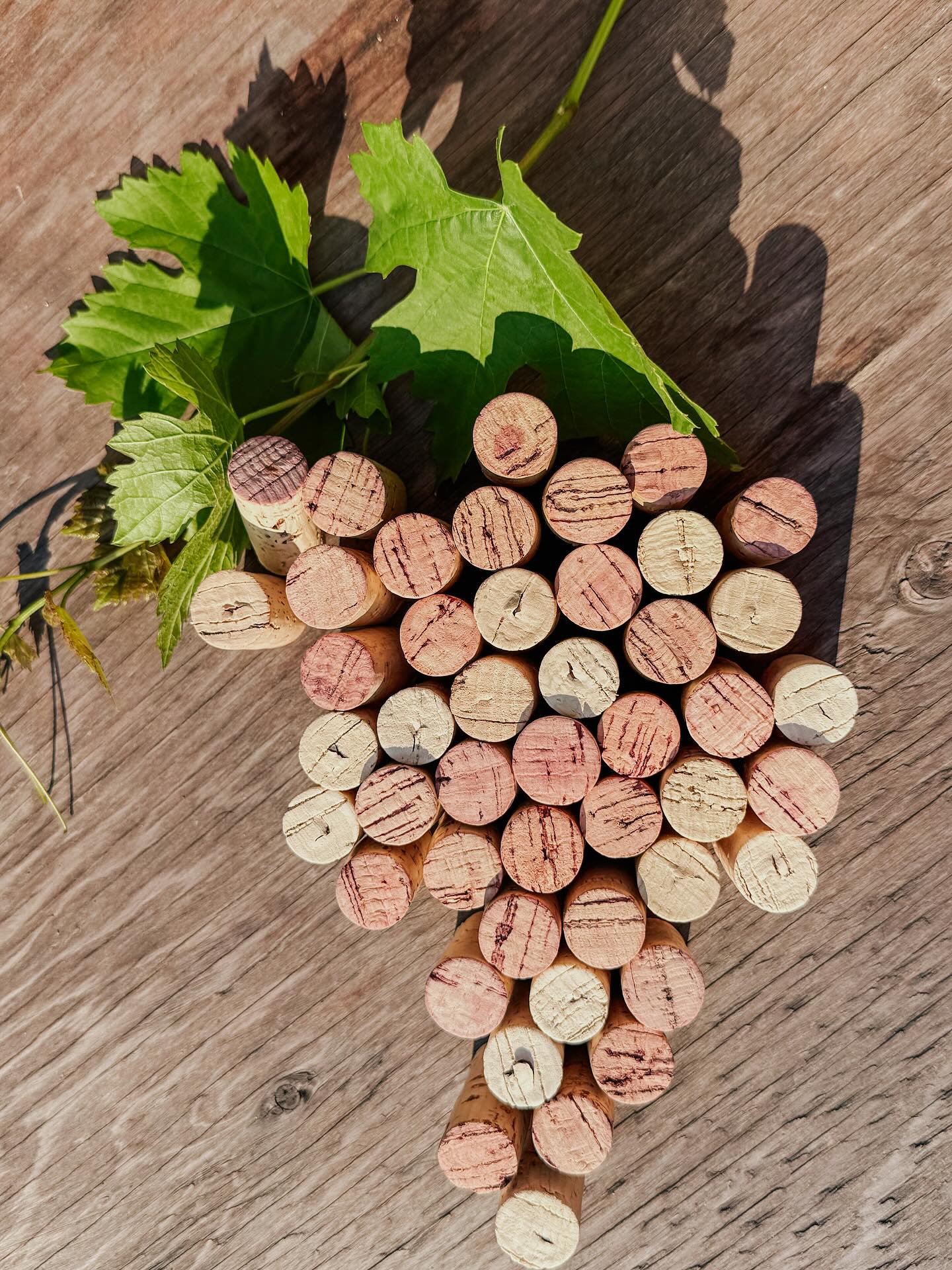 Kismet Estate Winery Oliver